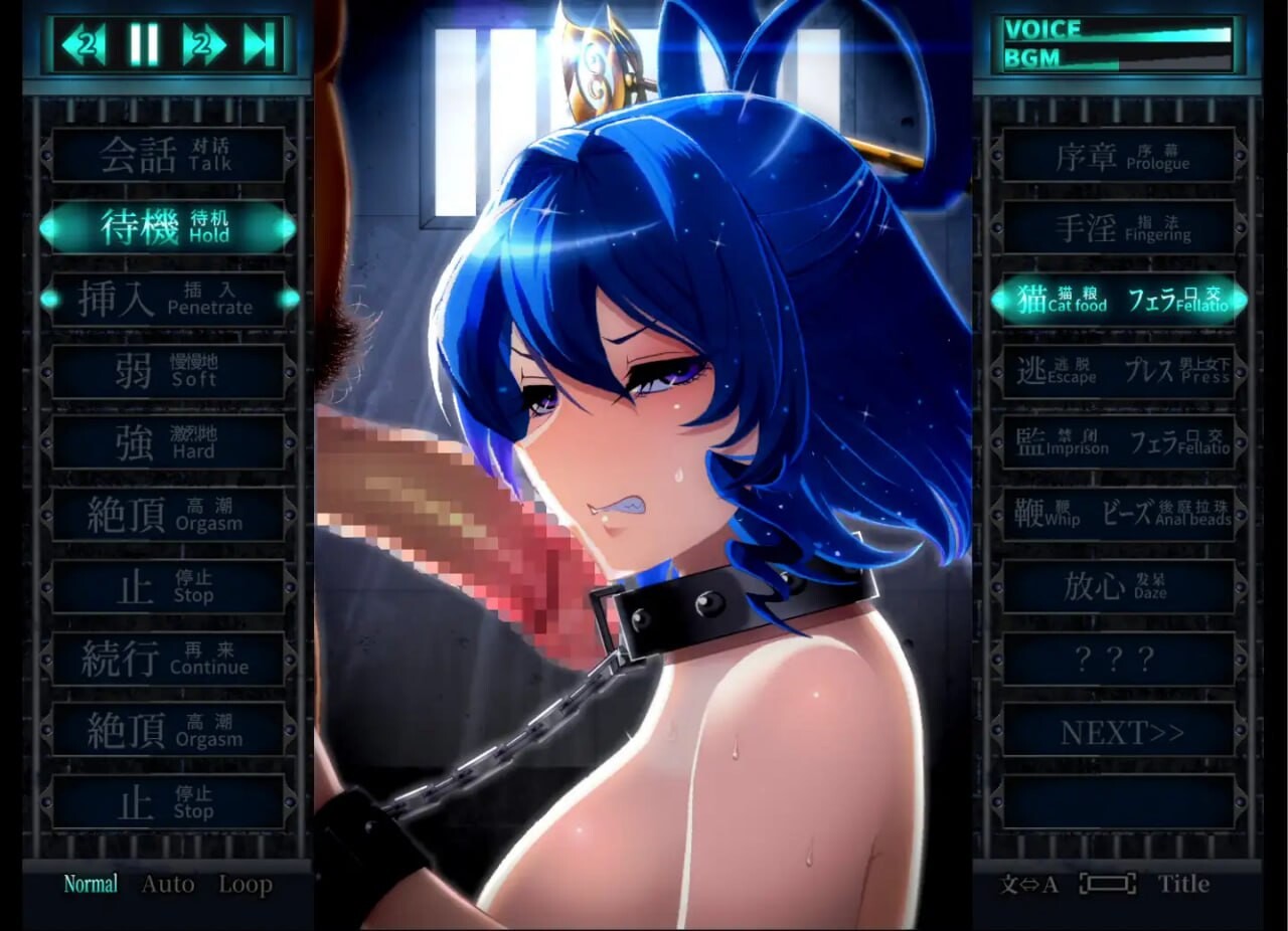 [SLG生肉PC动态CG包] 惩罚少女R おしおき娘々R v1.2  [FM/BD 2G]-第5张-游戏-飞雪ACG