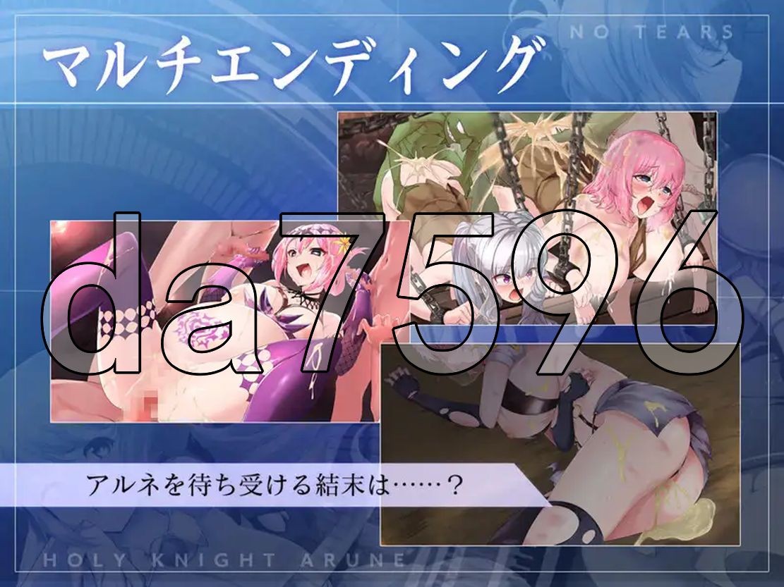 [曰式ACT/冻泰/更新] 圣奇事阿尔那与磨孕地宙印 聖騎事アルネと磨孕の呪印～Another No Tears～ Ver1.0.5 升柔版 [4.40G/-第12张-游戏-飞雪ACG