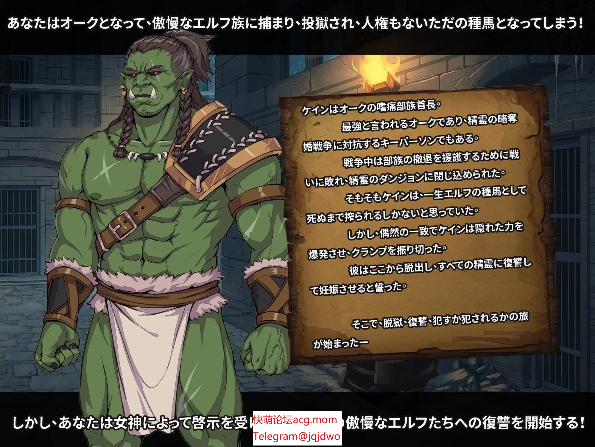 A985(官中RPG)（RJ441040）精灵之孕-让傲慢的精灵们怀孕来征服她们精霊の妊-傲慢なエルフたちを妊娠させて征服せよ-）（2.4G）-第5张-游戏-飞雪ACG