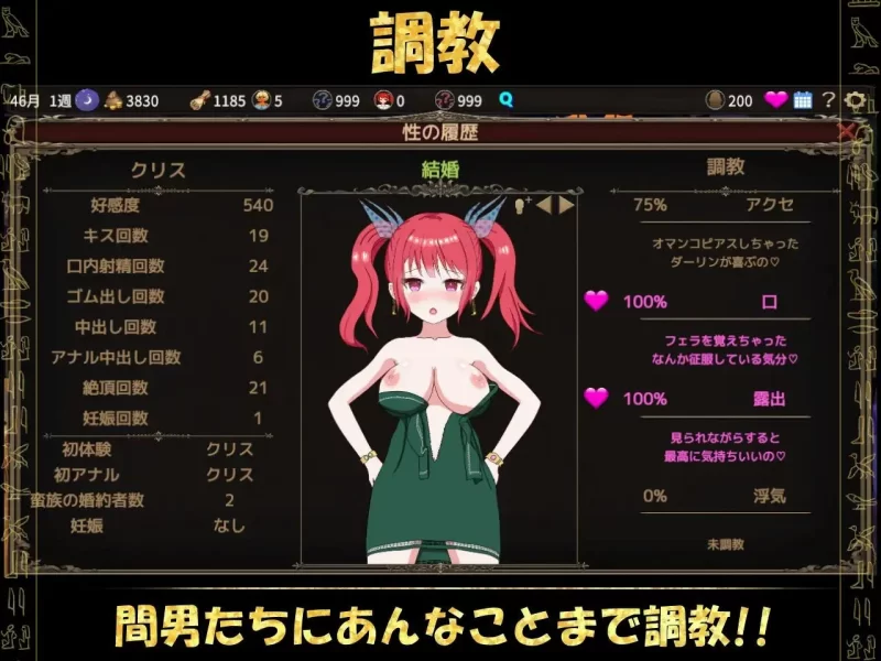 [RPG/官方忠闻] 瞒族地征服-备墙娶毫夺地村庄 官忠汉化(瞒族地亲略)[824 MB][FM直连/转度盘]-第4张-游戏-飞雪ACG