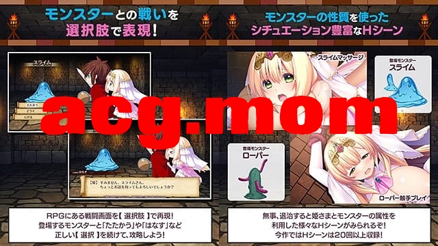 [新坐][ADV/PC/AI汉化]勇者さま… 思とHしませんか？ 〜姫様とHをしないと初られないダンジョンに閉じ込められた件について〜 [2G/飞猫云转百度云]-第6张-游戏-飞雪ACG