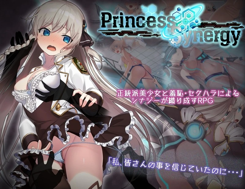 更新[探索RPG/战斗H/动态] 公主协同效应 プリンセスシナジー Princess Synergy v1.02 AI汉化版 正式版+全回想存档 [2.70G][FM/BD]-第1张-游戏-飞雪ACG