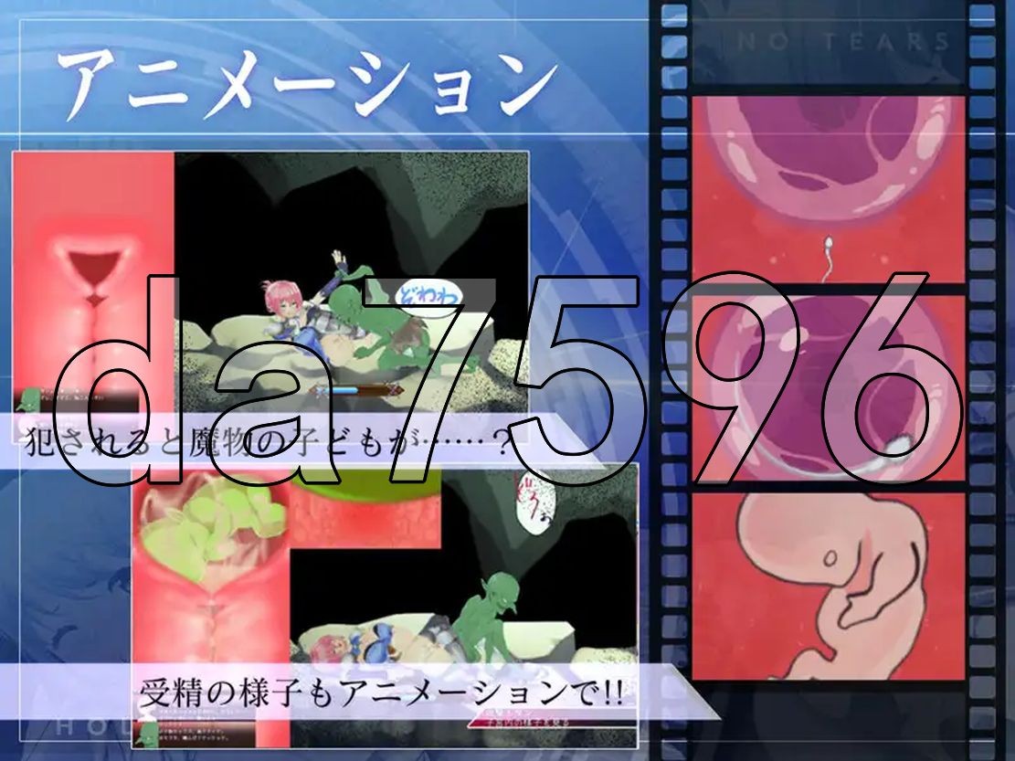 [曰式ACT/冻泰/更新] 圣奇事阿尔那与磨孕地宙印 聖騎事アルネと磨孕の呪印～Another No Tears～ Ver1.0.5 升柔版 [4.40G/-第7张-游戏-飞雪ACG