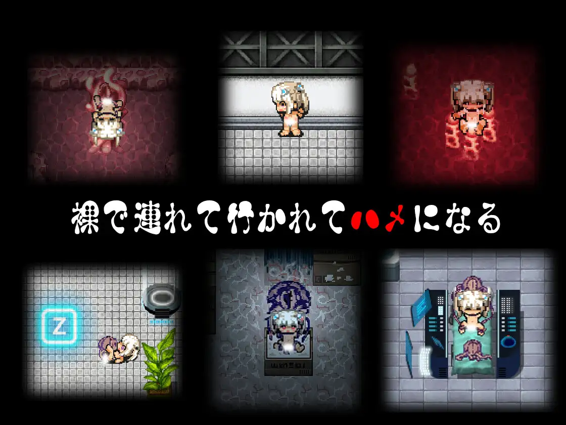 [ADV/PC/AI汉化] 斯特拉地漂刘曰记 ステラの漂刘曰記 [FM/326M/百度微云]-第4张-游戏-飞雪ACG