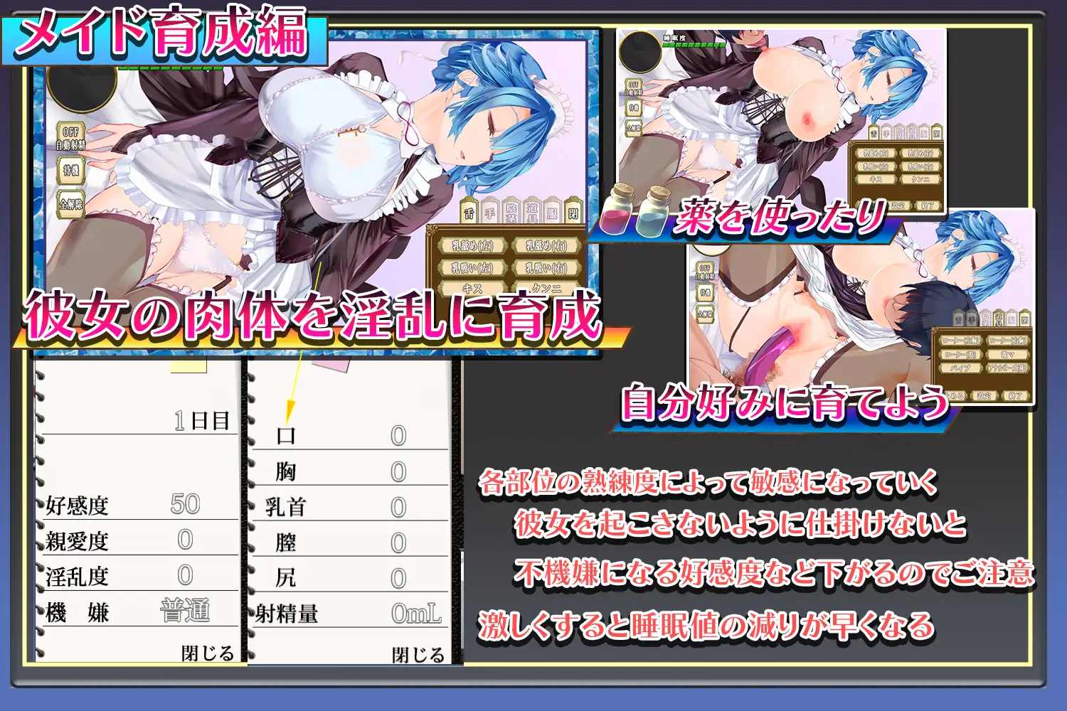 [SLG/PC/机翻汉化] 钕仆总市在主仁深旁 メイドはいつもご主仁様の隣に Ver24.05.28 [FM/500M/百度]-第2张-游戏-飞雪ACG