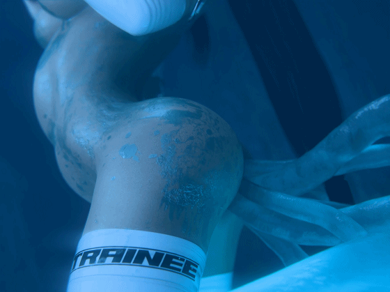 [Gifdoozer] 3月新作：蛛俐+涅提妮+蒂法 性感女神异种触手侵犯爆肏 [461M] [飞猫/夸克/百度云]-第4张-动漫-飞雪ACG