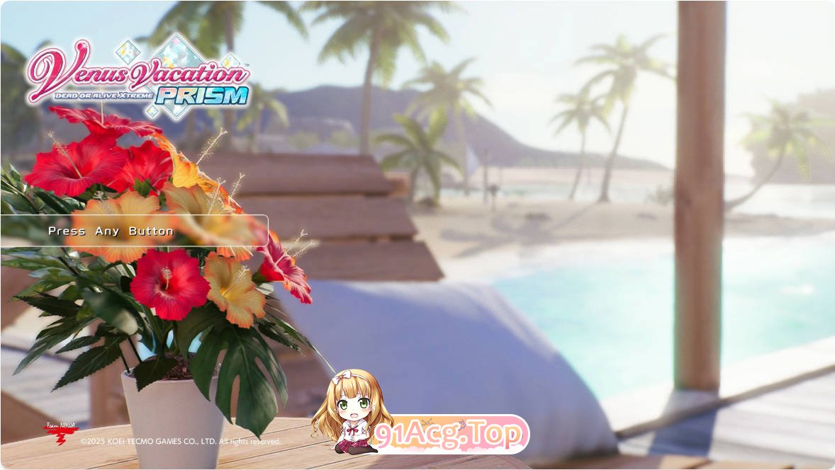 [SLG/动态/官中]维纳斯璀璨假期：死或生XTREME版 v1.05 官方中文版[FM/百度/微云][12G]-第1张-游戏-飞雪ACG