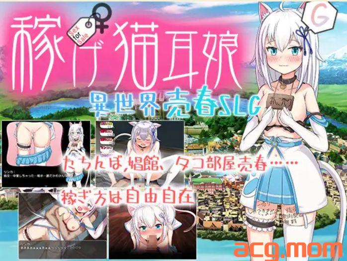 【冻泰/cv/机翻/惰落/楼初/卖银/1.8G】稼げ猫耳酿 ～異世界売春SLG～-第1张-游戏-飞雪ACG