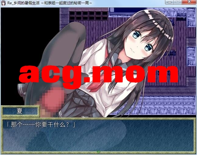 A2743[日式RPG汉化]乡间的暑假生活～与表姐度过的秘密一周汉化版+CG[300M/飞猫云转百度云]-第3张-游戏-飞雪ACG