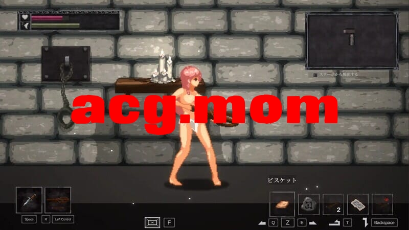 A3208[动作ACT像素动态PC]纳塔莱·内什（ナーテイルネーシェ）Ver1.0.2.12DL官中[300M/飞猫云转百度云]-第1张-游戏-飞雪ACG