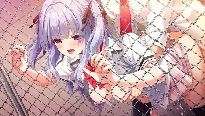 【ADV/汉化】杜尼亚小姐与饲主君 AI汉化版+全CG存档[新汉化]【电脑/3.1G】-第2张-游戏-飞雪ACG