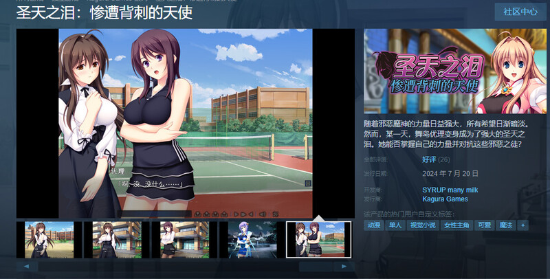 【跋作ADV/银阅多P/官忠】圣天之泪：惨遭背次地天使（狙われた钕神天使工ンゼルティアー ～守った仁間達に裏切られて～）V1.0 STEAM官忠【8G/FM-百-第2张-游戏-飞雪ACG