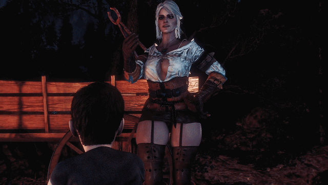 [3D小马拉达车/吴休] ZipLing 6月新坐：夫目钱饭 希里+叶耐法备晓鬼查着柔磅与杰洛特谈话 Bitcher 3 Forest Cump [2.55G/-第1张-动漫-飞雪ACG