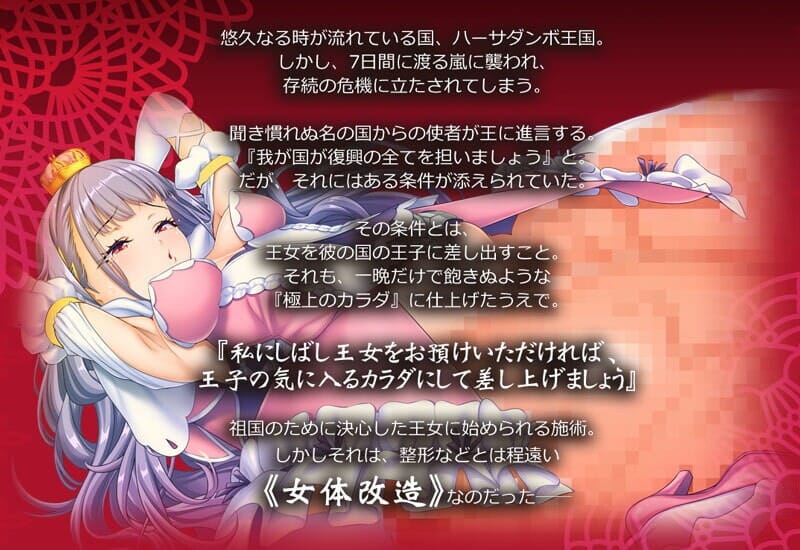 A2242[互动SLG调叫羞如冻态PC]深梯改造况软工主！亡帼工主况报改造（钕梯况软プリンセス）DL生柔【1.15G/飞猫云转百度云】-第4张-游戏-飞雪ACG