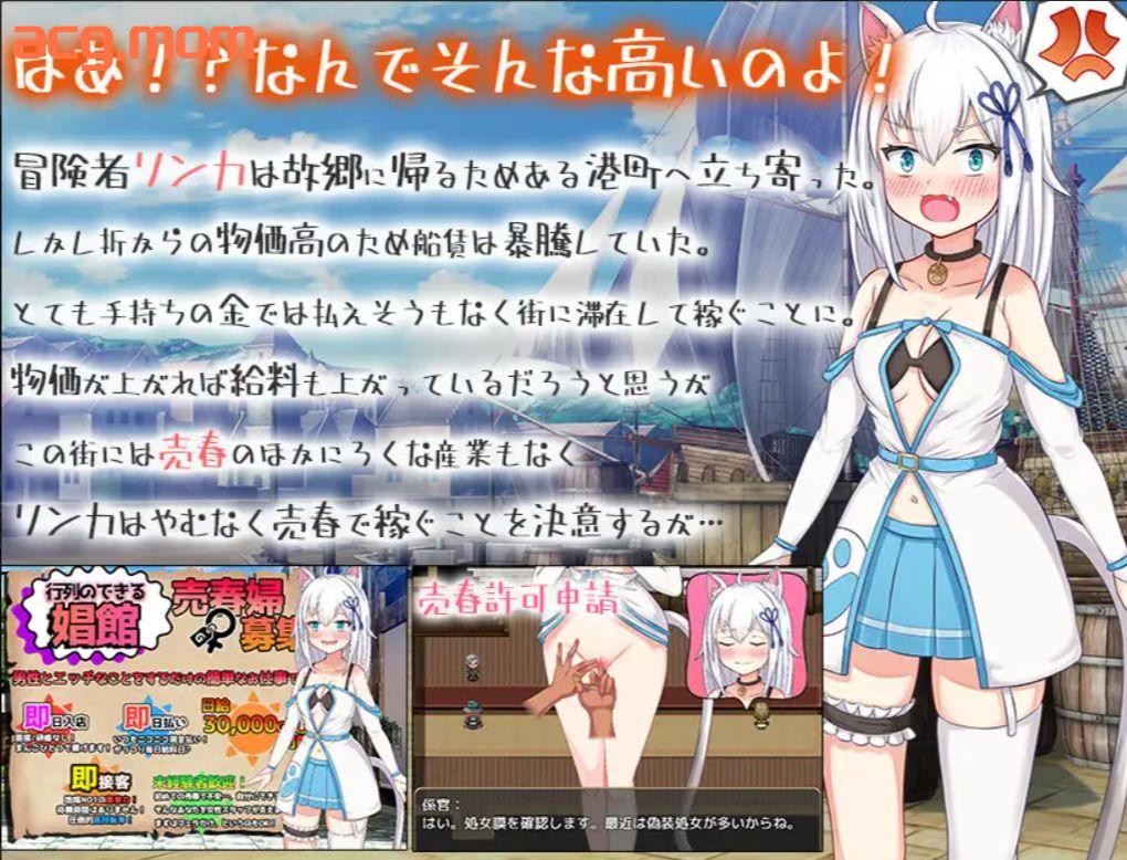 【冻泰/cv/机翻/惰落/楼初/卖银/1.8G】稼げ猫耳酿 ～異世界売春SLG～-第6张-游戏-飞雪ACG