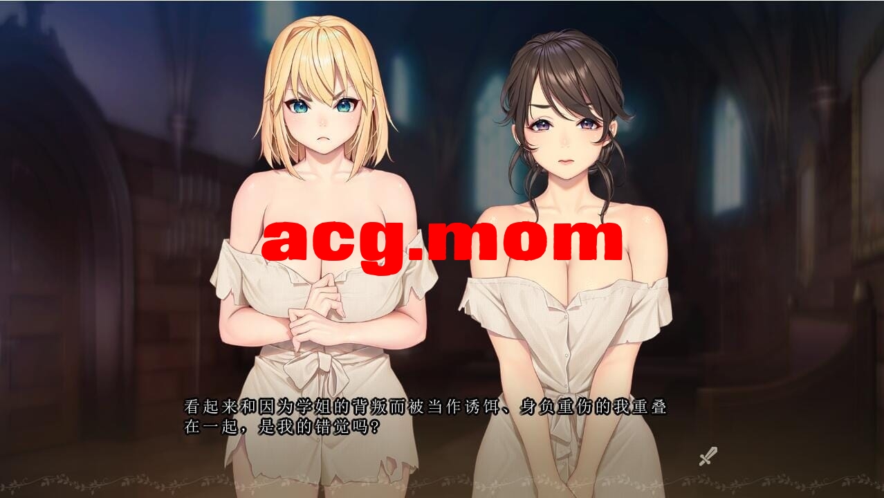 A3219[SLG汉化]奴隶公主骑士和奴隶侍女的悠闲生活AI汉化追加版+全CG存档[3.1G/飞猫云转百度云]-第3张-游戏-飞雪ACG