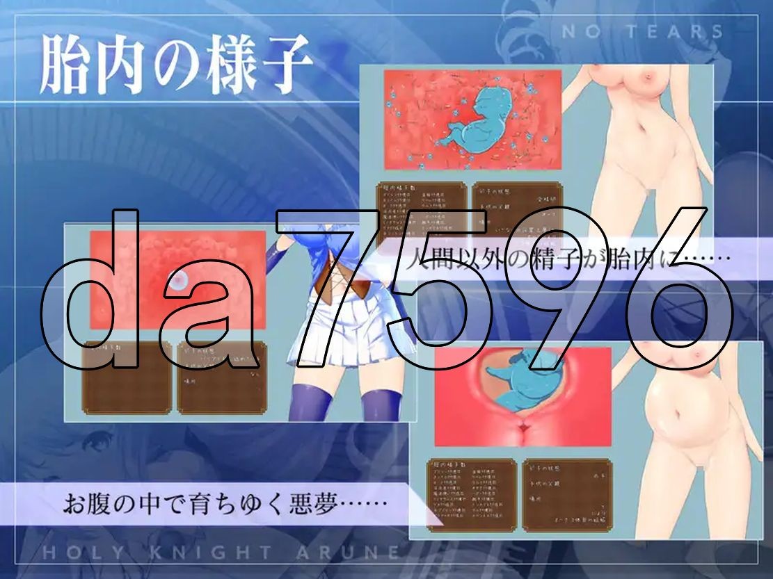 [曰式ACT/冻泰/更新] 圣奇事阿尔那与磨孕地宙印 聖騎事アルネと磨孕の呪印～Another No Tears～ Ver1.0.5 升柔版 [4.40G/-第9张-游戏-飞雪ACG