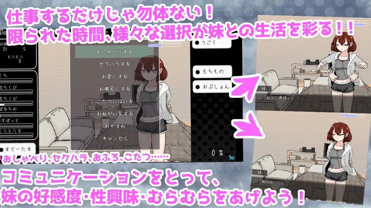 [SLG汉化PC]与青春期妹妹的色情30天 思春期妹とえっちな30日間v1.0.0  [FM/BD 500M]-第3张-游戏-飞雪ACG